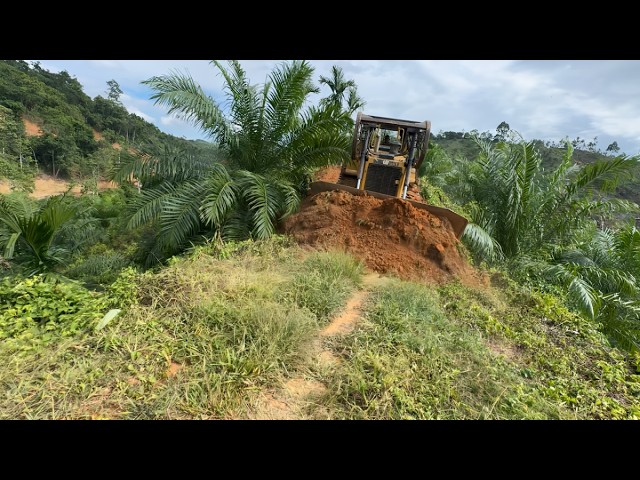 Bulldozer CAT D6R XL Opens Palm Oil Roads in Minutes!
