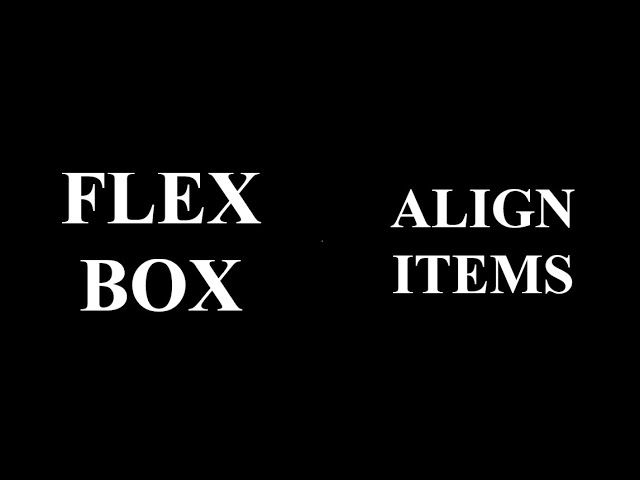 CSS flex box align items