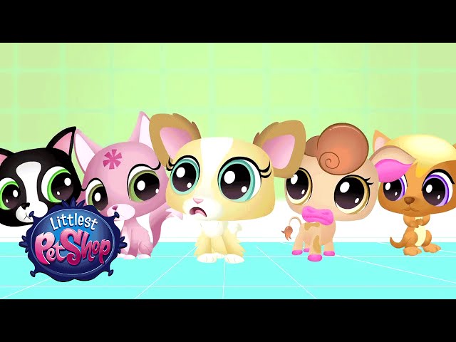 Littlest Pet Shop - 'Blythe & Bunny' Webisode