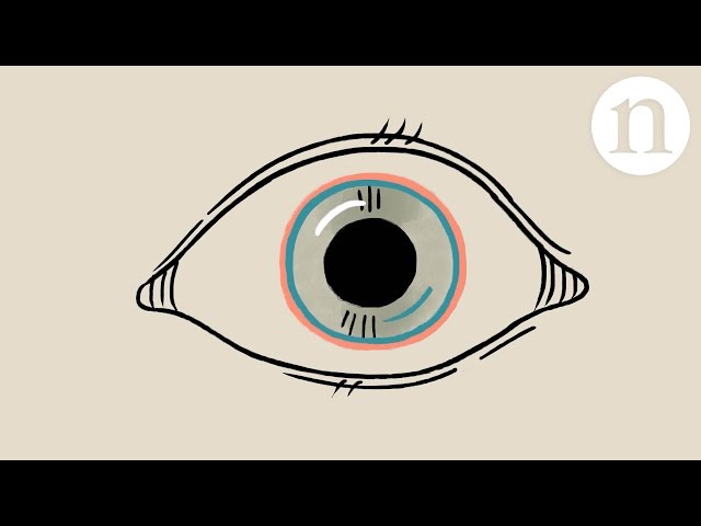 Repairing the cornea: let there be sight