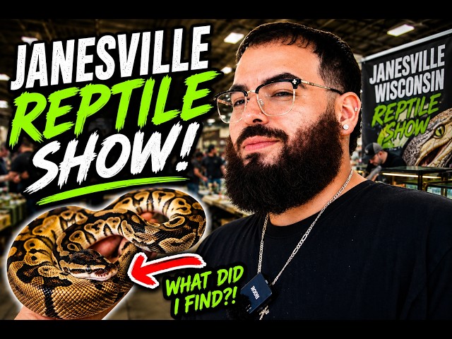 I Found Some CRAZY Reptiles at This Wisconsin Reptile Show !
