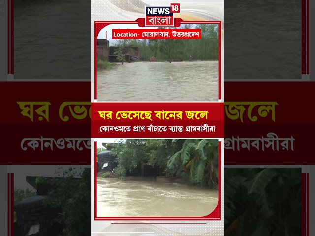 Uttar Pradesh-এ ঘর ভেসেছে বানের জলে | #shorts