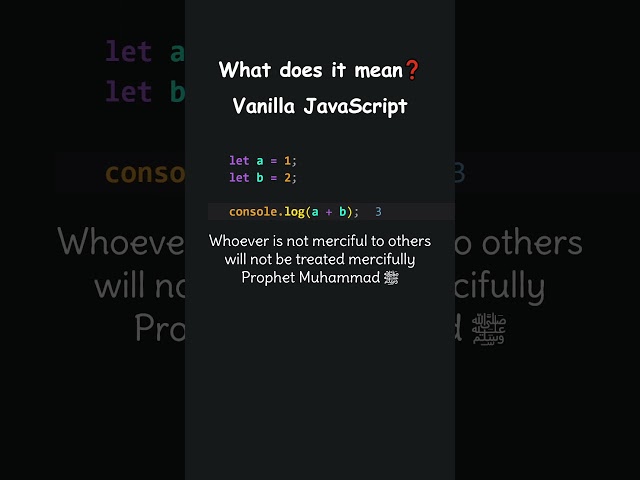 What does it mean ❓ Vanilla JavaScript