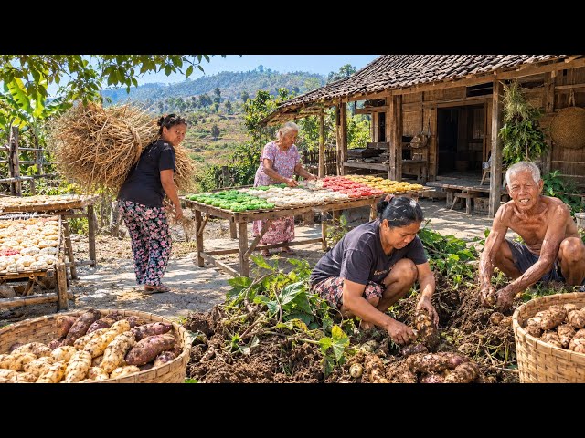 Very Rare‼️Gembili, Uwi, Rengginan, Legendary Foods from the 70s, Dry Season Atmosphere in an Aut...