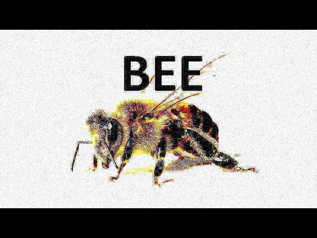 Sweet little bumble bee meme