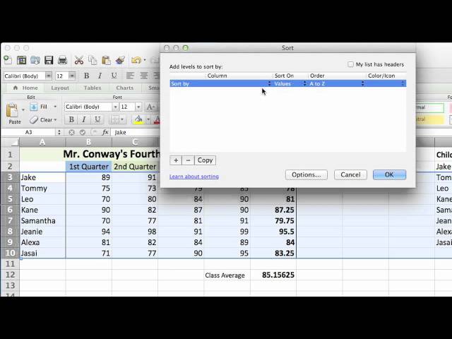 How to Custom Sort on Excel : Using Microsoft Excel