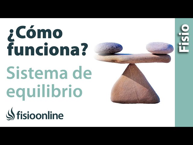 Cómo funciona el SISTEMA DEL EQUILIBRIO - Qué hace y cómo lo hace