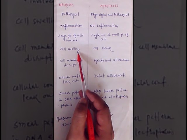 Differences between apoptosis and necrosis@quickknowledge-t3j