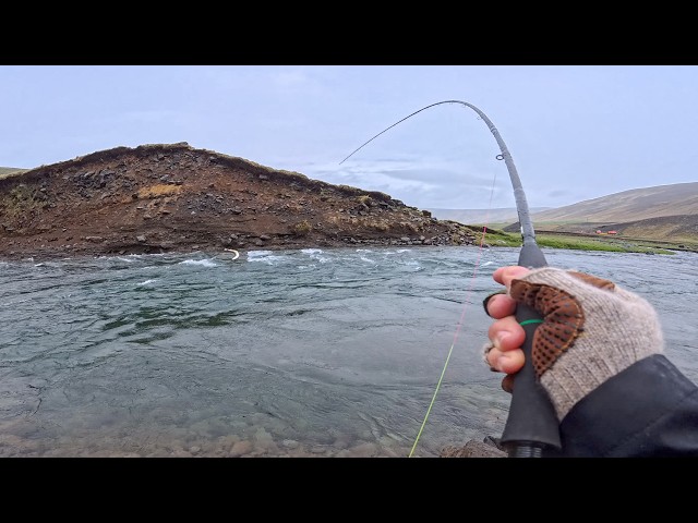 First Time Fishing Svartá River for Brown Trout and Arctic Char