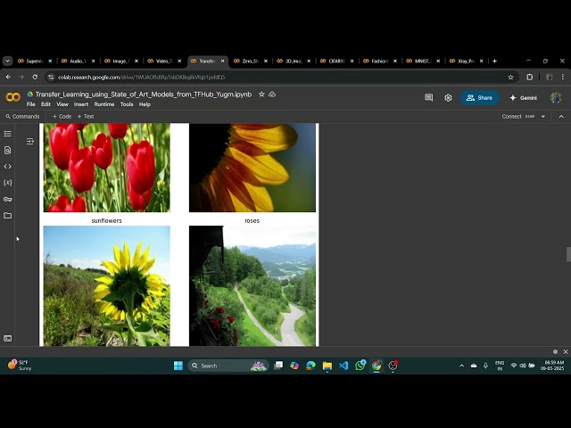 Advanced Computer Vision with Keras