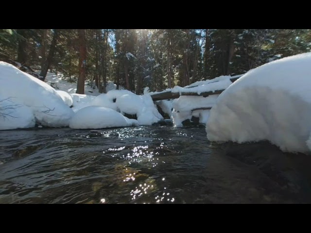 Serene Scenes - Start of Winter Snow 2 - VR180 3D Virtual Reality - Arden