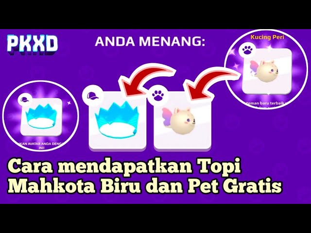 How to get the Blue Crown Hat and Fairy Cat Pet in PK XD