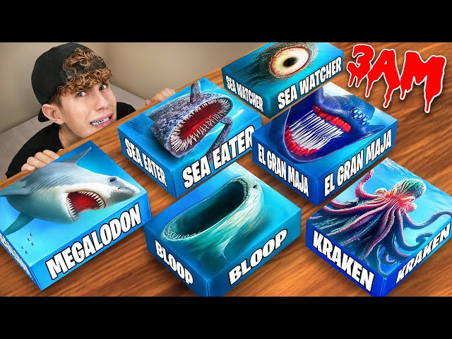 ¡NO ABRAS LAS CAJAS MISTERIOSAS BLOOP SEA EATER EL GRAN MAJA a las 3 AM!!