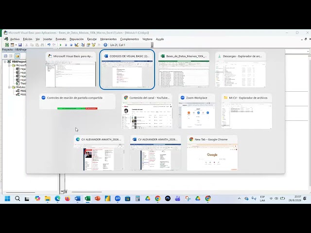 HIDE COLUMNS SHOW COPY AND PASTE WITH VISUAL BASIC