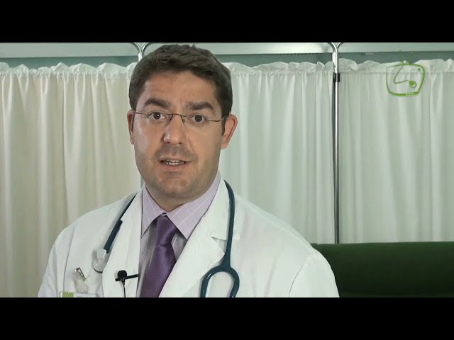 Cholesterol LDL and HDL, triglycerides, clinical analysis explained