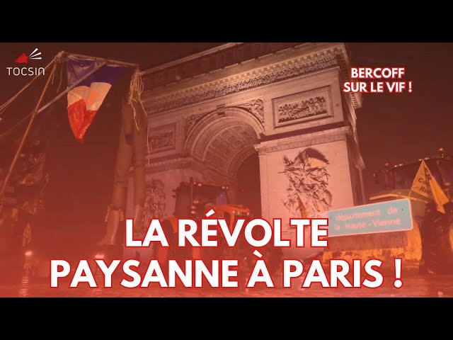 Bercoff sur le Vif 08/01: La fraude sociale gangrène l'État