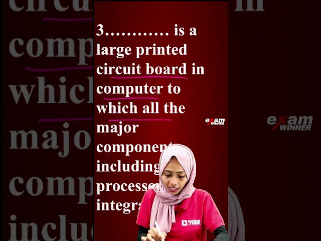 Important Question ... | Plus One Commerce | Computer Application