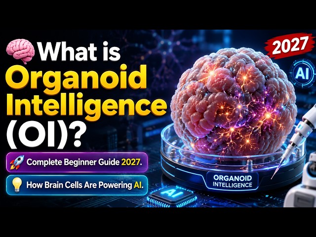 Organoid Intelligence (OI)? Complete Beginner Guide 2027. | OI with AI Jobs | Naresh IT