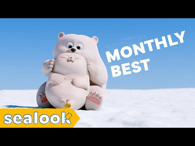 [Monthly Best] 🍿Binge Watch BEST Episodes | 60 Minutes ⏰ | SEALOOK Compilation