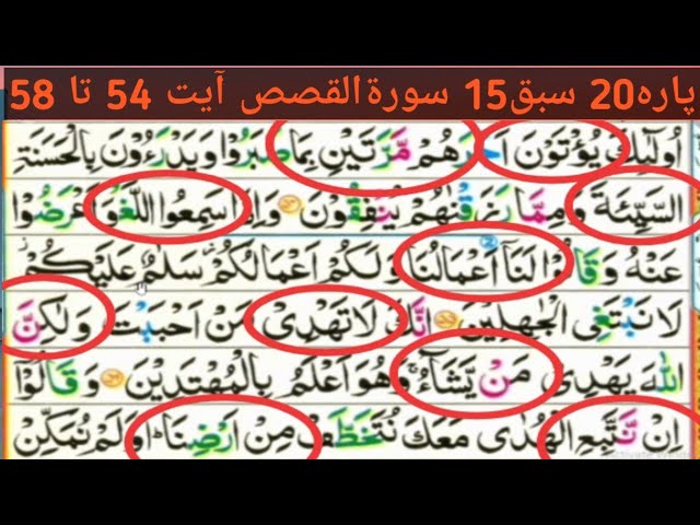 Parah20 Lesson15|Surah Qsas ayyt 54to58|Learn Quran with tajveed word by word|Beautiful reaction Voi
