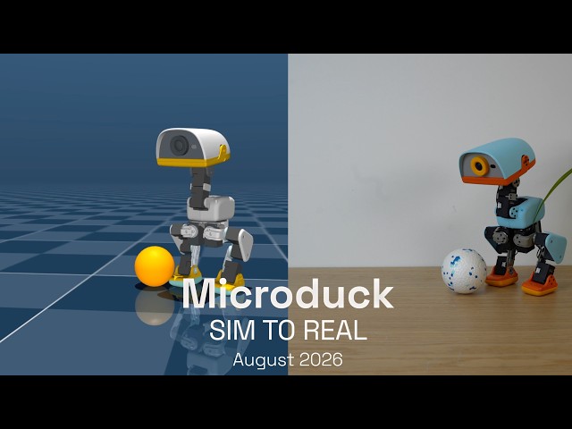 Microduck Sim 2 Real.