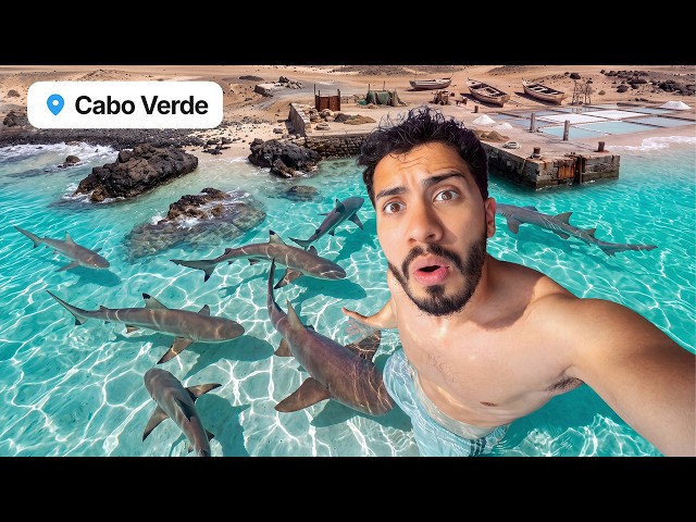 I Went to the ISLAND OF SHARKS in CAPE VERDE 🦈🇨🇻