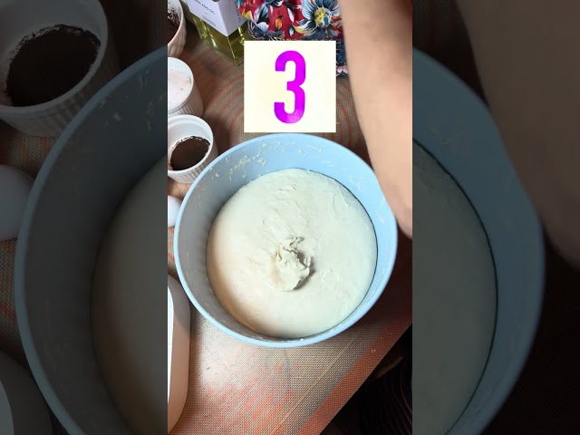 Sourdough folds: how many to do, how often and when to STOP (Bulk fermentation)