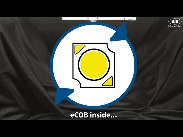eCOB by BJB - For exchangeable COB´s