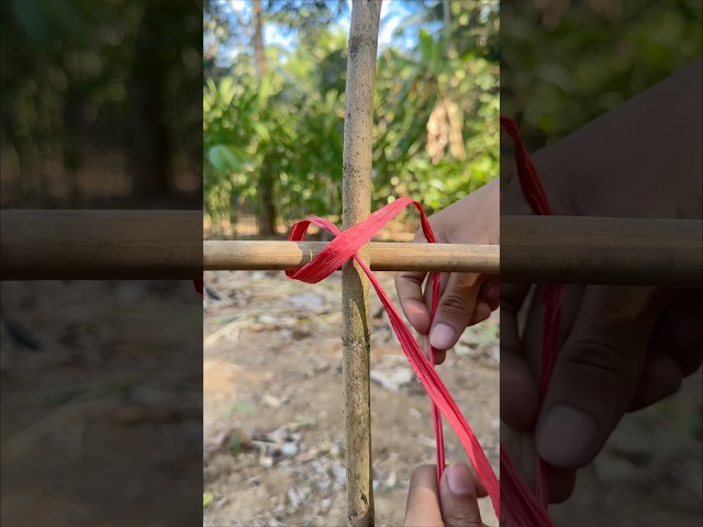 This knot will be useful in everyday life!