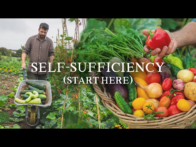Watch This If You Want to Be Self-Sufficient