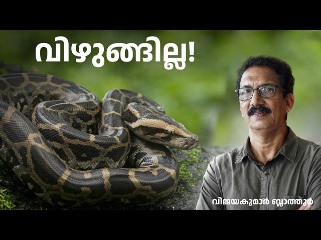 പെരുമ്പാമ്പിന് കാലുണ്ടായിരുന്നു  Can a #python  eat a man? #malayalam #science #education #മലയാളം