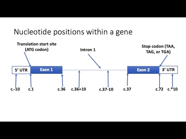 Introduction to Variants and Nomenclature