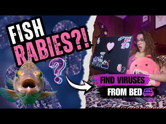 How You Can Find New Rabies-Causing Viruses From Your Computer