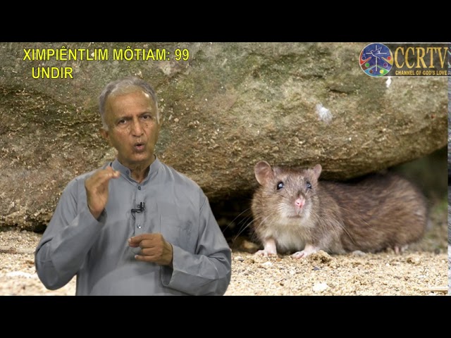 XIMPIÊNTLIM MÔTIAM - Bhag 99 - UNDIR  by Fr. Pratap Naik sj