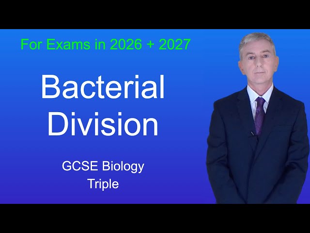GCSE Biology Revision "Bacterial Division" (Triple)