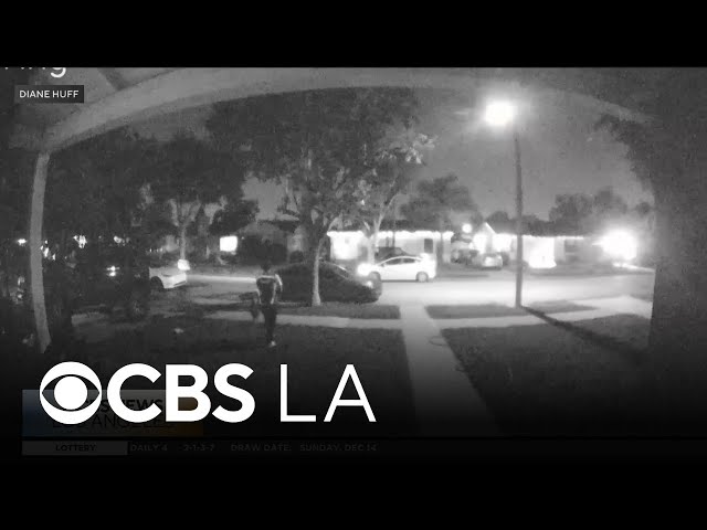 LA County woman says Amazon delivery driver stole her cat off her doorstep