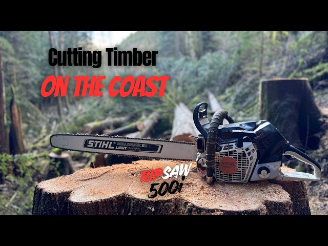 Cutting Timber On The Coast- RIPSAW 500i