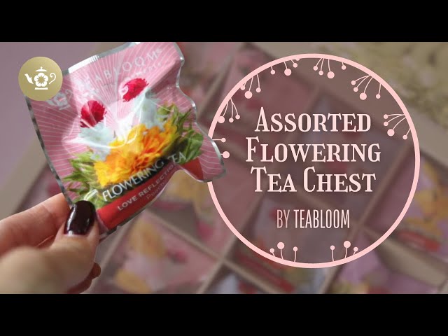 Teabloom Blooming Tea 🍵🌸 Assorted Flowering Tea Chest