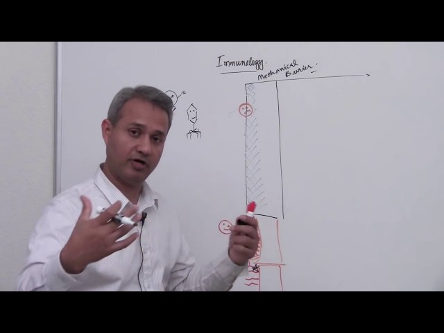 Innate and Acquired Immunology (Lecture 1 Part 1)