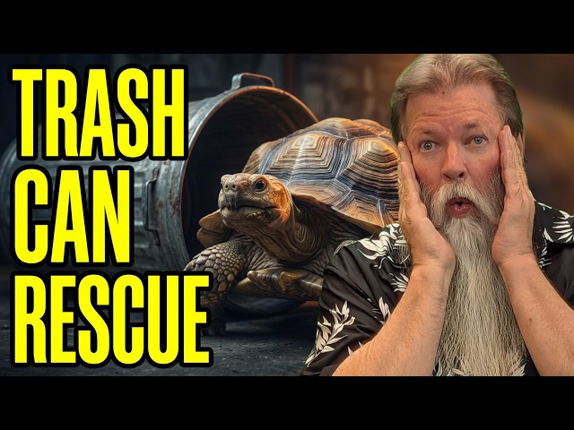 100’s Of Reptiles RESCUED!