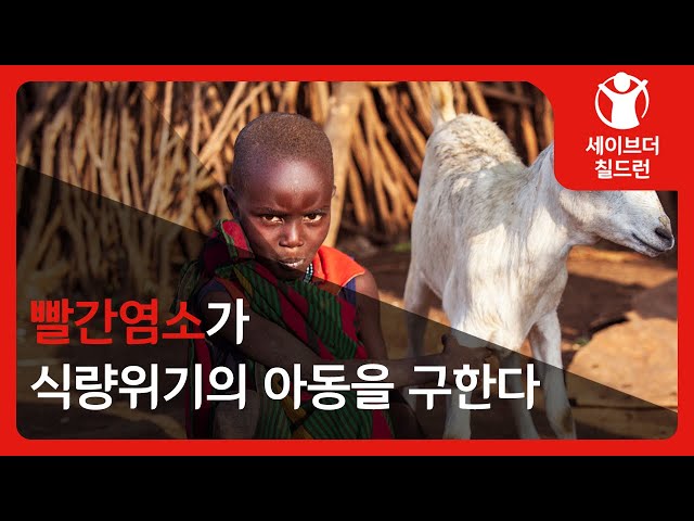 빨간염소가 식량위기의 아동을 구한다 ㅣ 세이브더칠드런