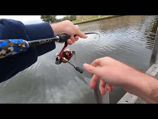 Fishing Structure For Bream and Flathead on Perth's Swan River (Land Based)