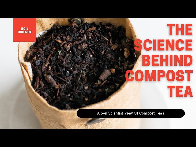 Does Compost Tea Actually Work? Soil Scientist Explains How Compost Tea Works | Gardening in Canada