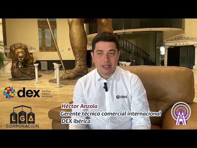 Uso de acidificantes en cerdos. ¿Por qué emplearlos?