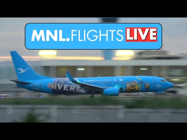 🟡 [4K] COOL Minions 🍌 Livery! on Xiamen Airlines B737 ✈️