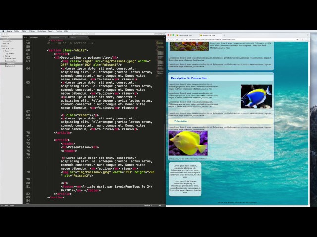Leçon N° 16: Display en CSS - Apprendre HTML5 - CSS3