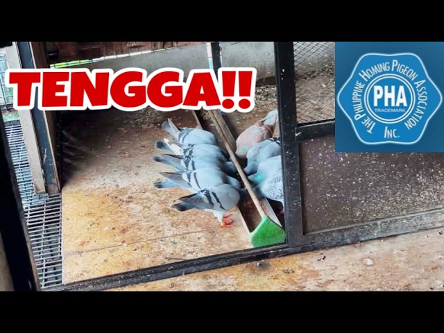 MAMASA MASA NANAMAN!!