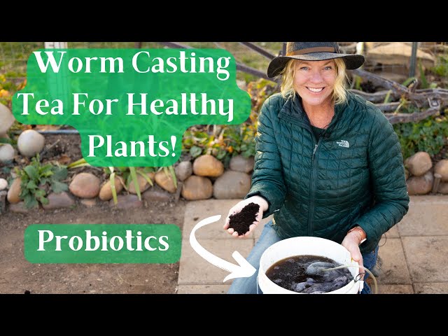 Making Worm Casting Tea & Its Many Uses - Fewer Pests & Disease