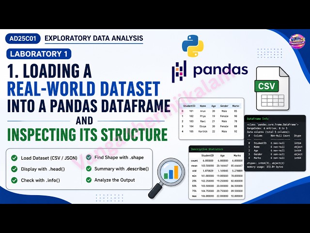 AD25C01 Exploratory Data Analysis Lab 1 || Loading a Real-World Dataset into Pandas DataFrame