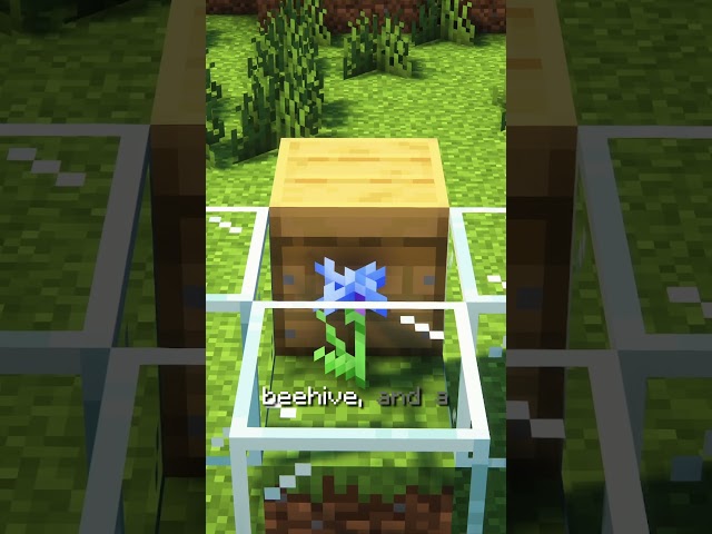 The Simplest Automatic Honey Farm in Minecraft